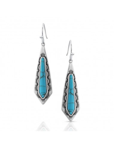 Montana Silversmiths Southwest Turquoise Stream Earrings de votre