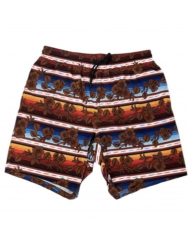 Cinch Men's Hawaiian Serape Swim Trunks des créatures d'habitude