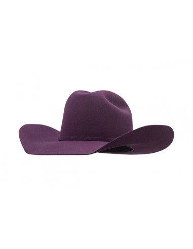 Pro Hats 4X Minnick Cheyenne Grape Felt Hat offre 