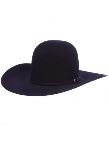 Rodeo King Sapphire 10X Felt Hat les ctes