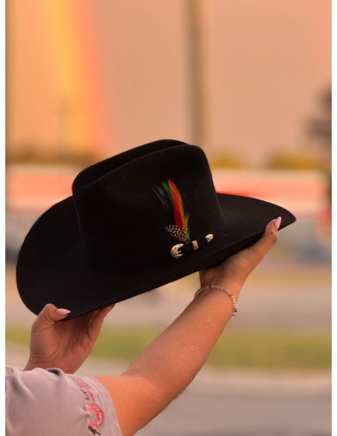 LARRY MAHAN´S 6X REAL BLACK COYBOY HATS les ctes