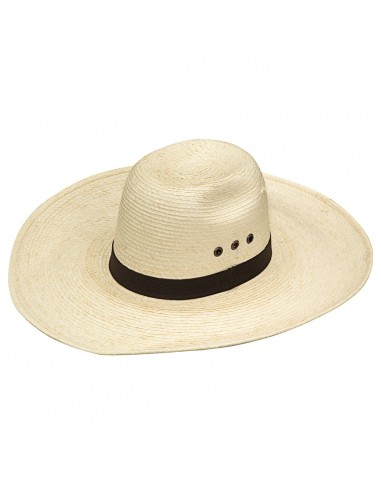 Twister Palm 5" Brim Straw Hat Les magasins à Paris