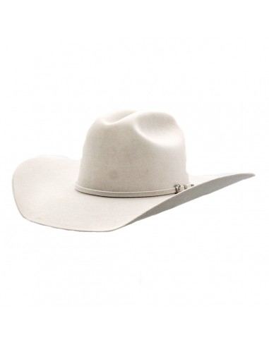 Tango Ranch Silver Belly 10X Felt Hat de l' environnement